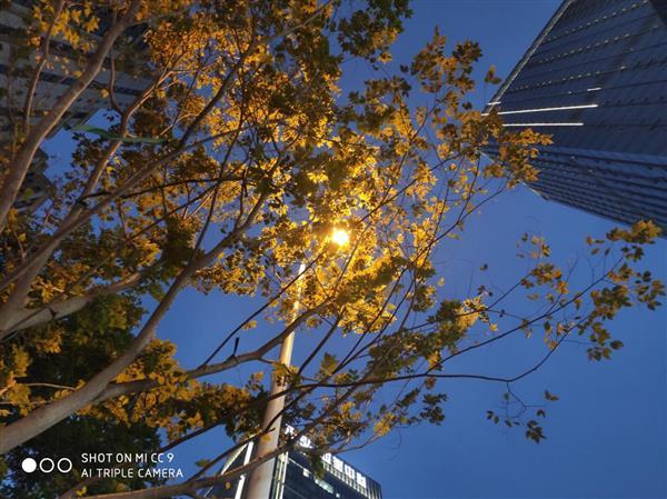 小米cc9与cc9e对比，小米CC9和CC9e该怎么选