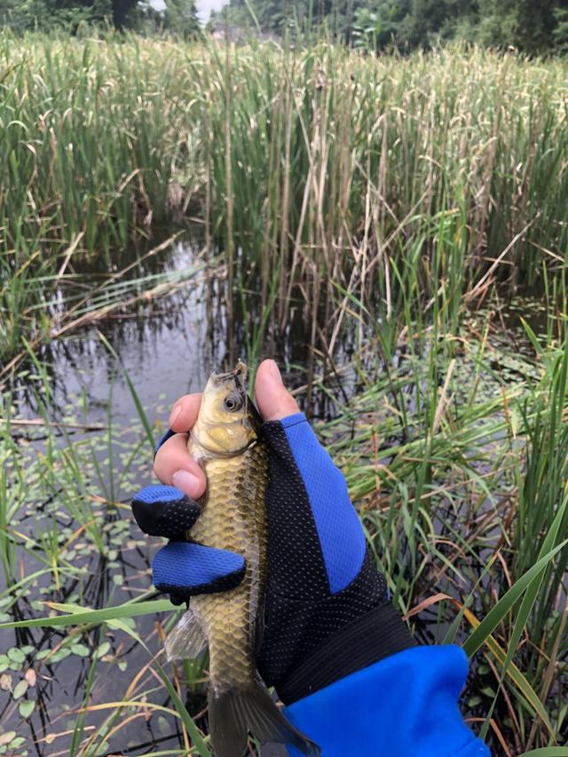 七星漂正确的调漂方法，七星漂走水调漂的正确方法与技巧（七星漂的调钓方法）