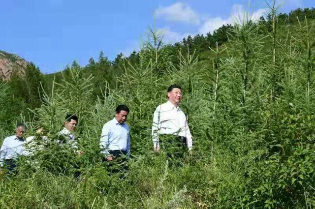 构建生态安全屏障，王广华：构建国家生态安全屏障