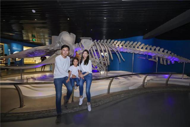 最美的青岛海底世界，恒温20盘点青岛海底世界