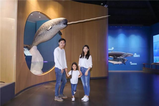 最美的青岛海底世界，恒温20盘点青岛海底世界