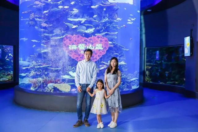 最美的青岛海底世界，恒温20盘点青岛海底世界