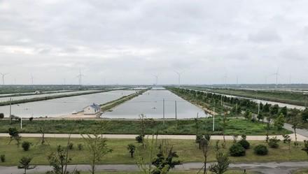 糖尿病鱼塘(糖尿病鱼汤做法)