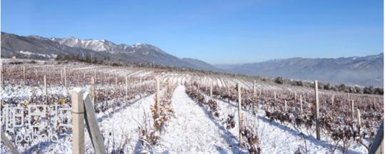 回首乡村振兴重踏扶贫之路，从脱贫到乡村振兴的接续奋斗