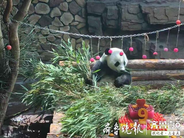 二喜9岁生日轰趴，三层生日特大红丝绒蛋糕