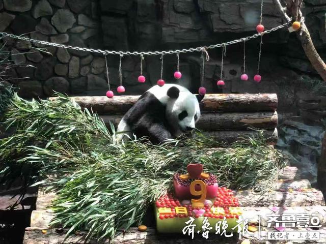 二喜9岁生日轰趴，三层生日特大红丝绒蛋糕