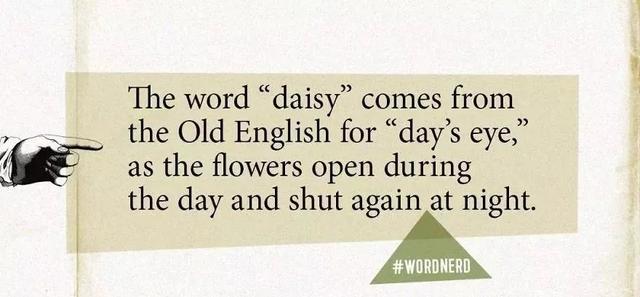 有意义的英语单词，中考英语前一定要熟背这些英语词性转换超全整理