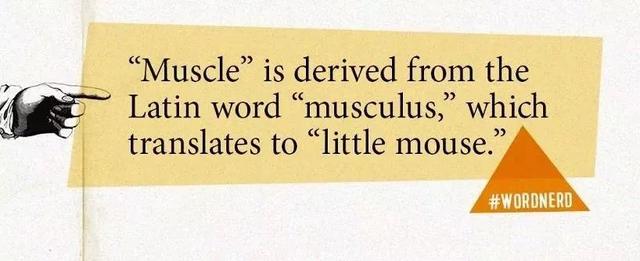 有意义的英语单词，中考英语前一定要熟背这些英语词性转换超全整理