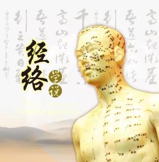 下肢肥胖是经络堵(下肢肥胖的危害)