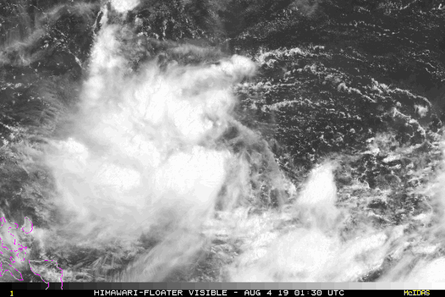 第8号台风实时路径最新天气，台风“尼格”登陆珠海