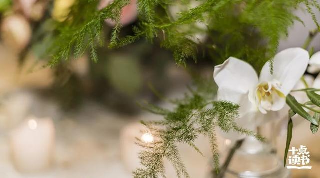 杀死一只知更鸟经典语录，杀死一只知更鸟10句经典话（《杀死一只知更鸟》最经典的10句话）