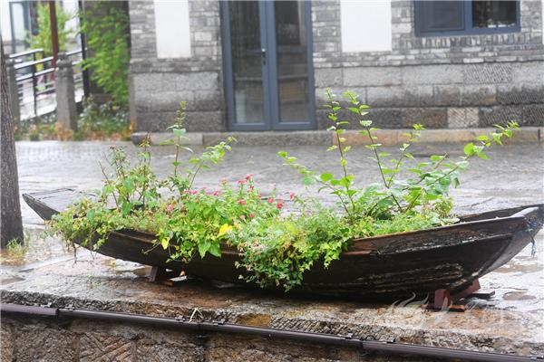你还记得大明湖畔的夏雨荷么，雨中走进百花洲