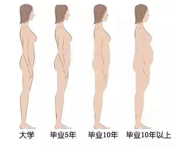 肥胖的职业(肥胖对职业形象的影响)