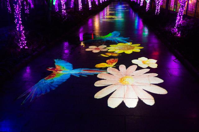 参观植物园免费门票，厦门千佛山、植物园免费至3月31日