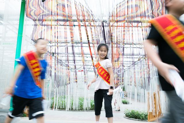 参观植物园免费门票，厦门千佛山、植物园免费至3月31日