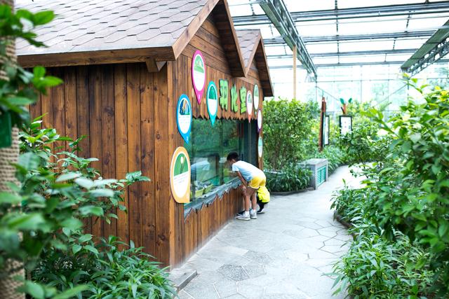 参观植物园免费门票，厦门千佛山、植物园免费至3月31日