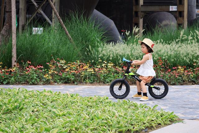 佳能g7x4代，IV今年发布