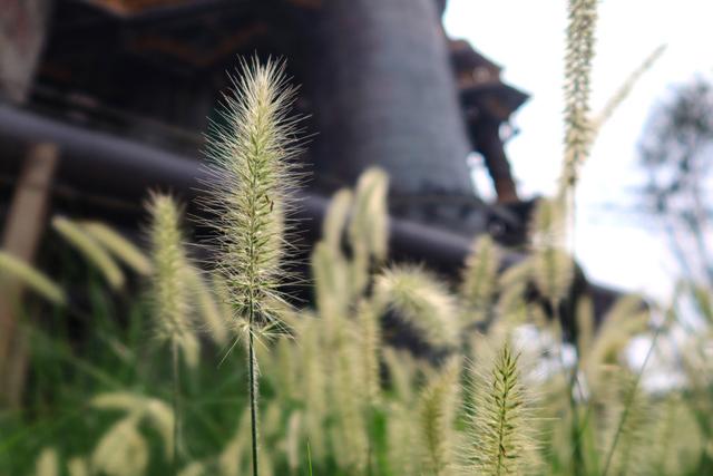 佳能g7x4代，IV今年发布