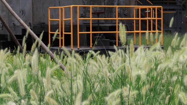 佳能g7x4代，IV今年发布