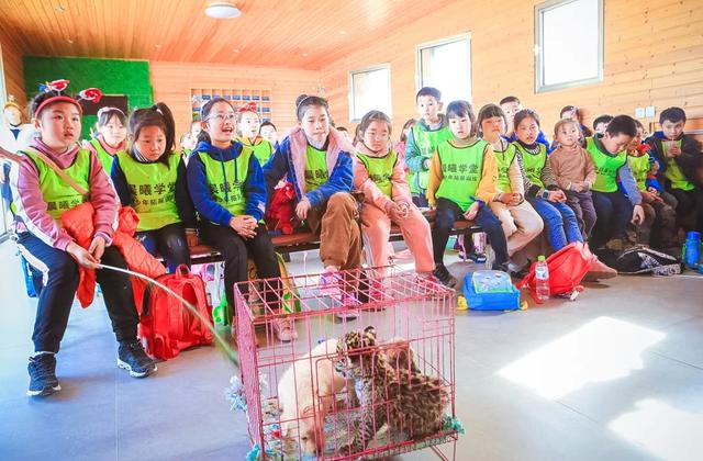 世界十大最好玩的动物园，探索神奇动物世界