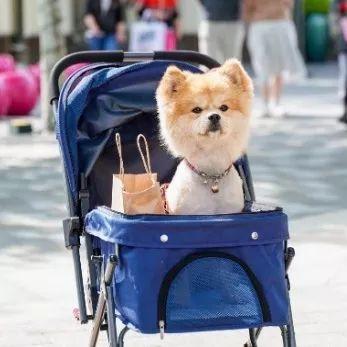 上海哪个奥莱店便宜，来上海必去的奥特莱斯
