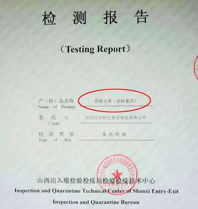 拉丝甜糯玉米，含糖量高于一般品种