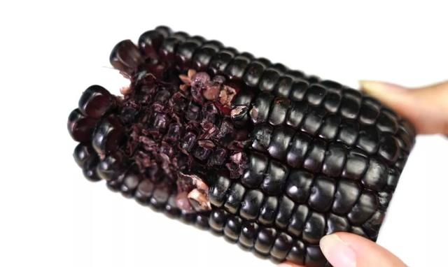 拉丝甜糯玉米，含糖量高于一般品种