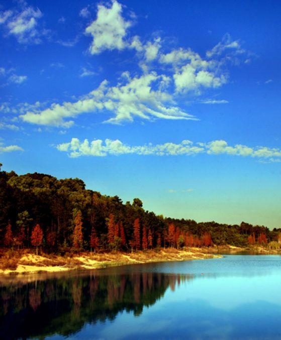 花都未来重点发展，权威发布这样的花都