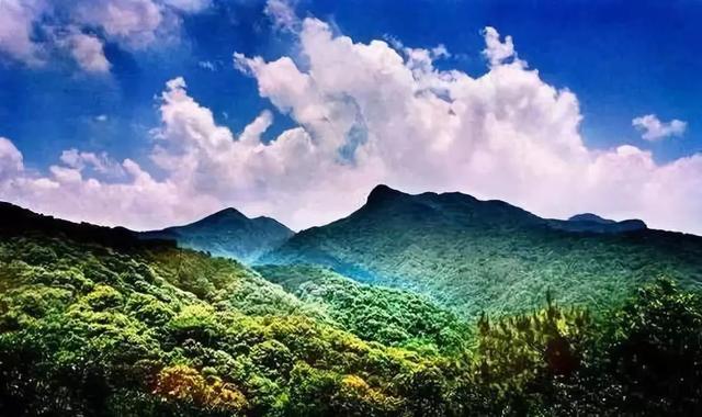 花都未来重点发展，权威发布这样的花都