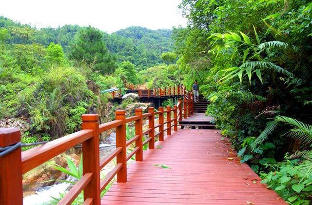 花都未来重点发展，权威发布这样的花都