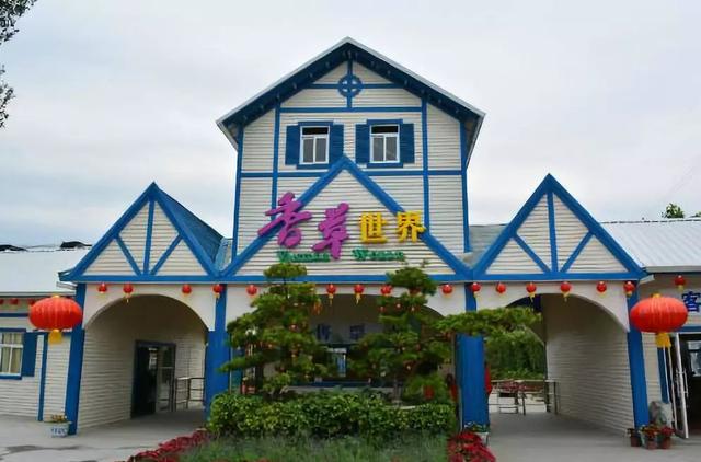 花都未来重点发展，权威发布这样的花都