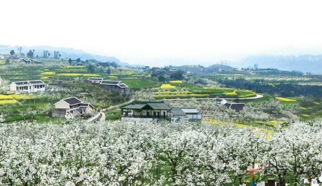 苍溪县以前是哪个市的，关于四川省广元市苍溪县的历史文化你都了解吗