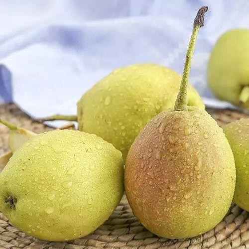 梨子水怎么煮止咳化痰，梨水怎么熬止咳化痰简单