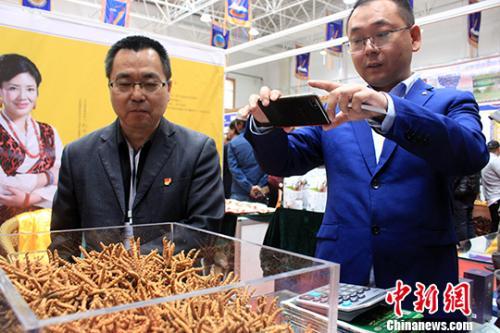 冬虫夏草现在市场价是多少，揭示背后的暴力和非法行为