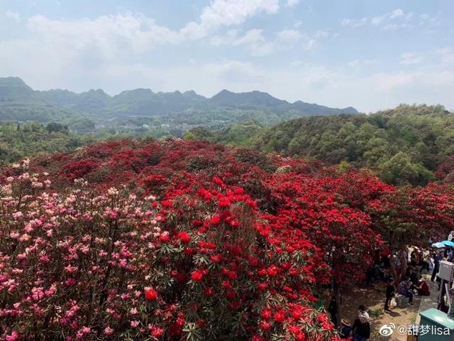 成贵高铁最快线路，从成贵高铁看四川交通之变丨我的这十年