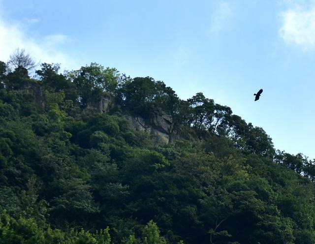 义乌大山里的富人村，翁荣金靠卖袜子成为义乌知名富豪