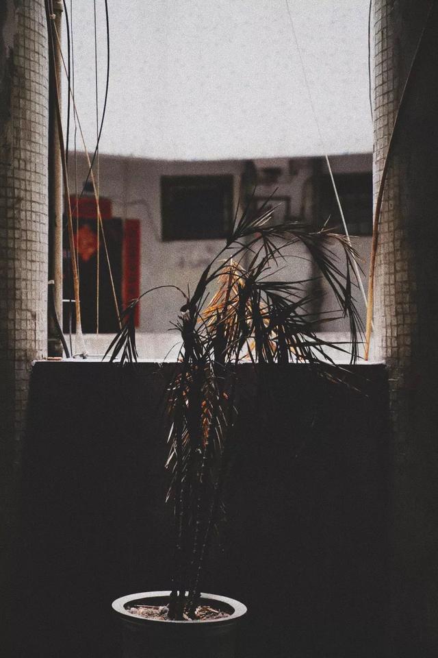 重庆海棠溪打卡图，南岸海棠溪的筒子楼