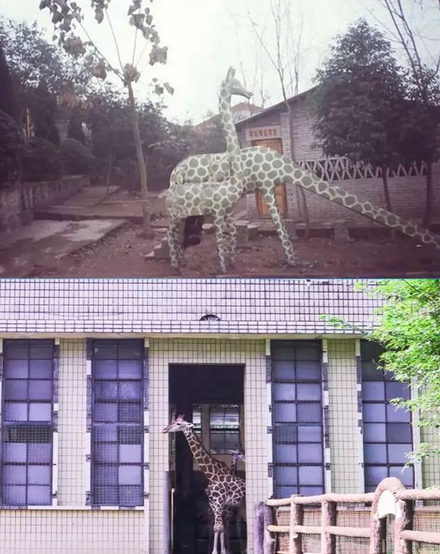 成都标志性建筑，成都的新老地标（成都这些地标，绝对值得打卡→）