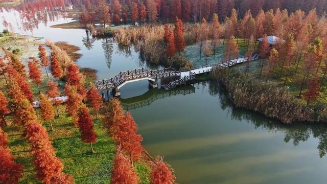 长兴岛郊野公园，上海最受欢迎的郊野公园