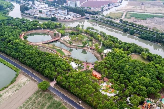 长兴岛郊野公园，上海最受欢迎的郊野公园