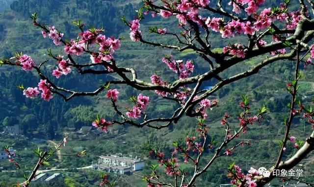 金堂山顶看城市夜景网红打卡地，成都金堂全力打造“成都近郊休闲旅游胜地”