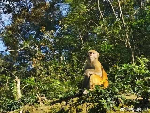 泉州美食攻略最新，第一次自驾旅游福建泉州该怎么吃喝玩乐