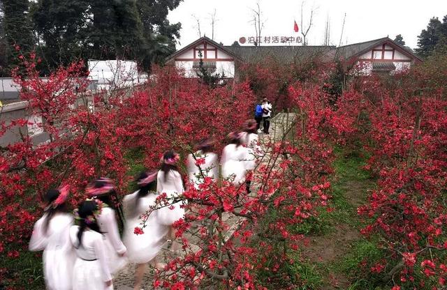 成都市青城山都江堰旅游景区，这个五一青城山-都江堰景区超火爆