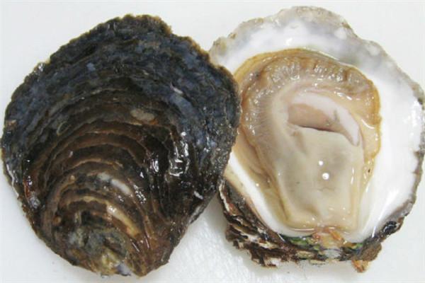 世界十大最贵海鲜，贫穷限制了俺的想象力