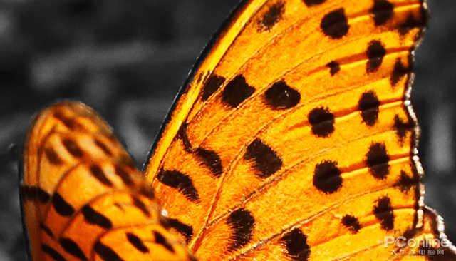 佳能eos90d价格，佳能90D到底值不值得购买#佳能