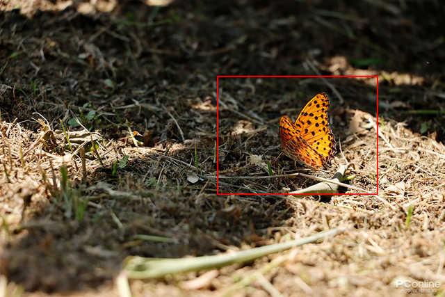 佳能eos90d价格，佳能90D到底值不值得购买#佳能