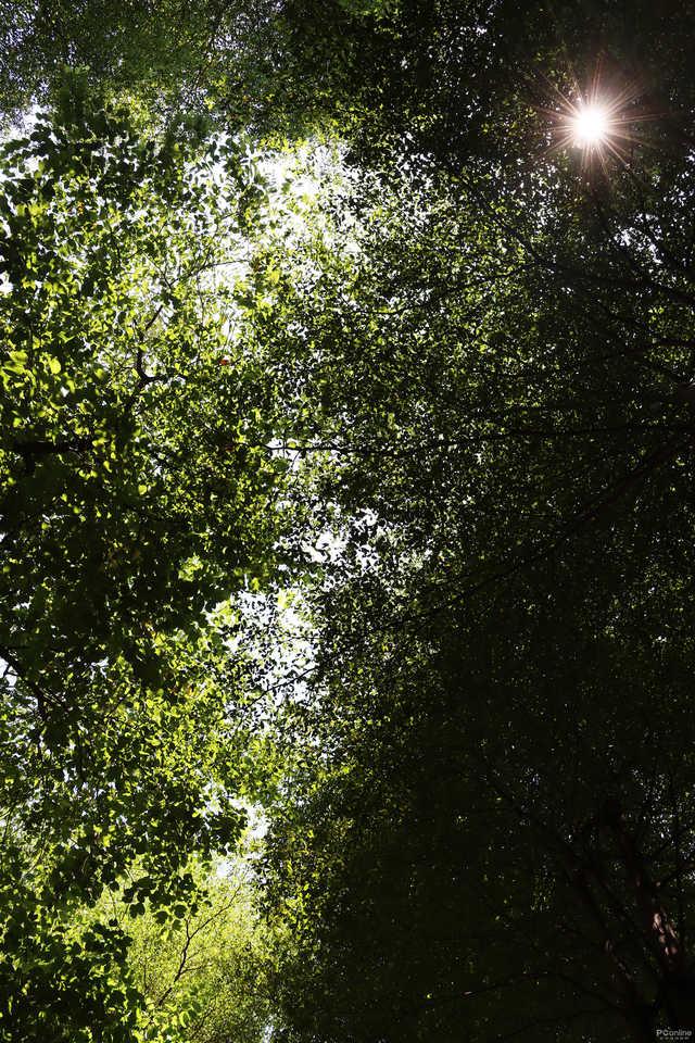 佳能eos90d价格，佳能90D到底值不值得购买#佳能