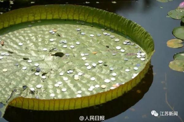 龟山汉墓是谁的墓，探秘徐州龟山汉墓游记