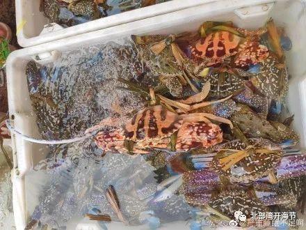 防城港自驾游攻略，防城港海边旅游攻略