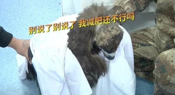 秃鹫肥胖(秃鹫重多少斤)